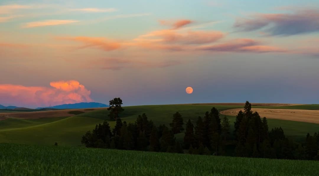 หมู่บ้านอินุนากิ